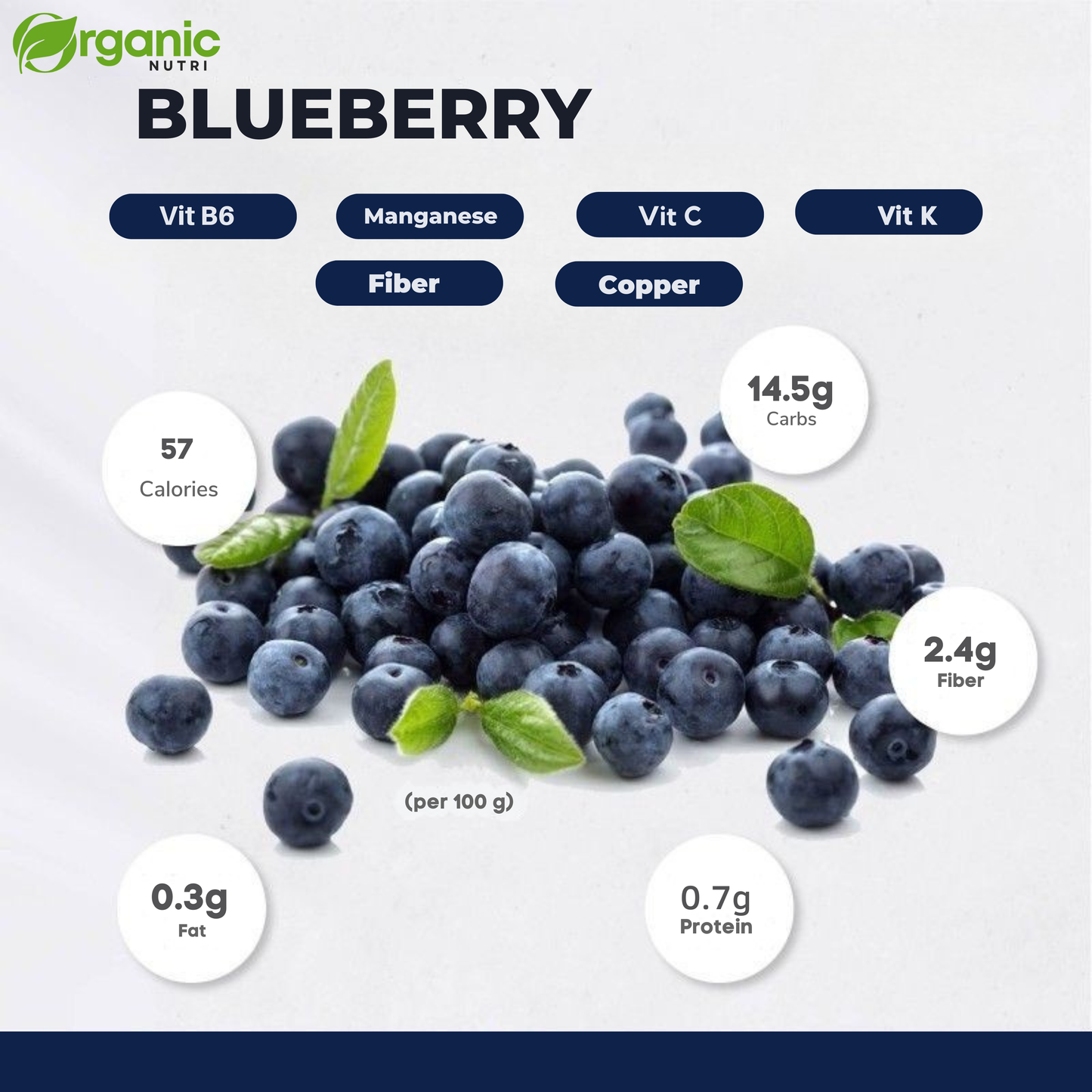 Dried Blueberries