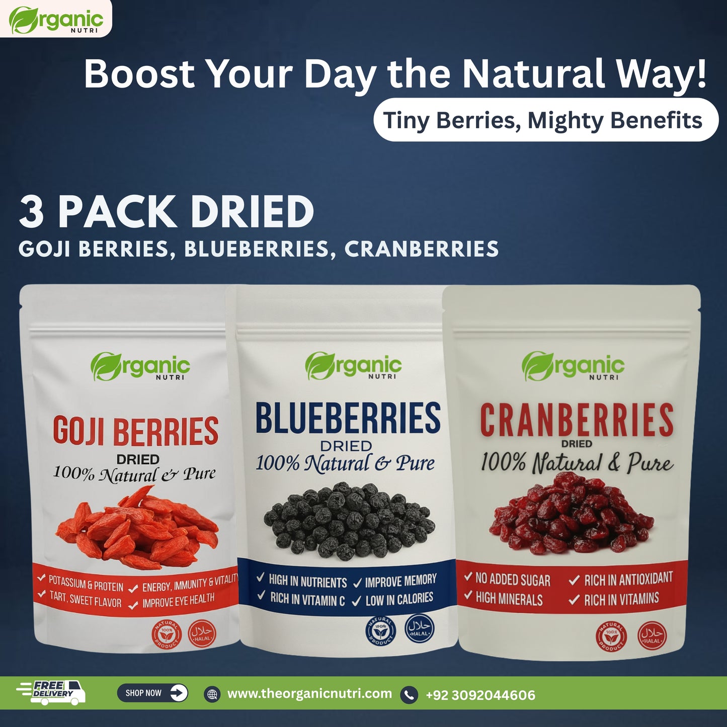 Cranberries ,Blueberries & Gojiberries Healthy Super food